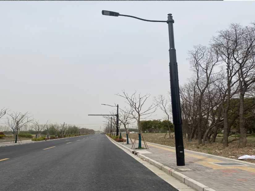柳南区上海综合杆 太阳能路灯工程